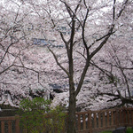090407_13.jpg