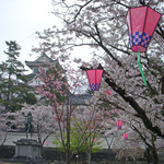090407_24.jpg
