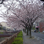 090407_6.jpg