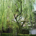 090416_2.jpg