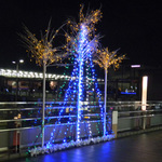 09124_1.jpg