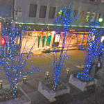 09124_2.jpg