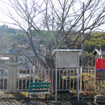 100217_2.jpg