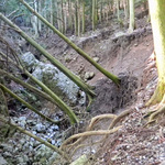 100407_14.jpg