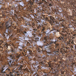 100407_17.jpg