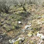 100407_19.jpg