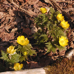100407_21.jpg