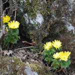 100407_28.jpg