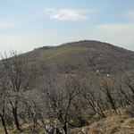 100407_31.jpg