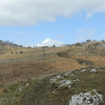 100407_33.jpg