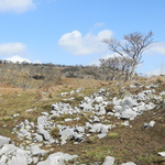 100407_34.jpg