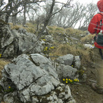 100407_40.jpg