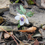 100407_43.jpg
