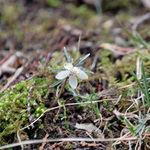 100407_46.jpg