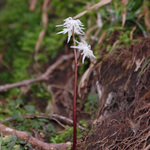 100407_47.jpg