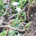 100407_48.jpg