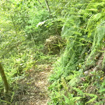 100526_14.jpg
