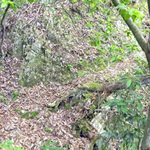 100526_15.jpg