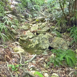 100526_16.jpg