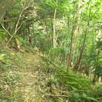 100526_17.jpg
