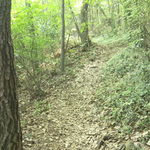 100526_7.jpg