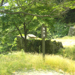 100615_12.jpg