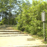 100615_22.jpg