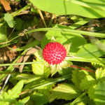 100615_42.jpg