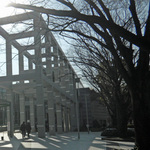 110228_top2.jpg
