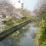 110404_top4.jpg