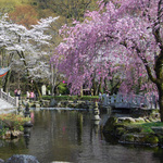 110411_top2.jpg