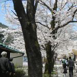 110411_top5.jpg