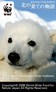 wwf_banner.jpg