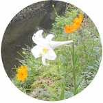 0824_hana1.jpg