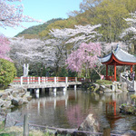 110411_top1.jpg