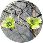 120417_hana7.jpg