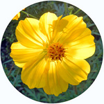 121009_hana8.jpg