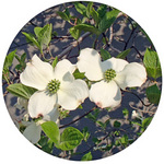 130412_hana2.jpg