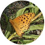 131028_tyo1.jpg