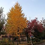 131118_koen1.jpg