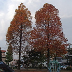 131118_koen3.jpg