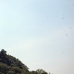 1362_kinka_top2.jpg