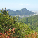 dodo13428_top3.jpg