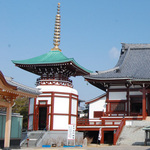 fujikawa_top1.jpg