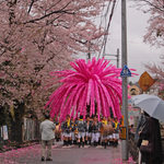 hanamikosi_5.jpg