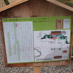 kikuka_16.jpg