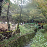 kikuka_9.jpg