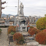 miwa2_11.jpg