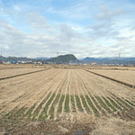 miwa2_24.jpg