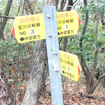 miwa2_38.jpg